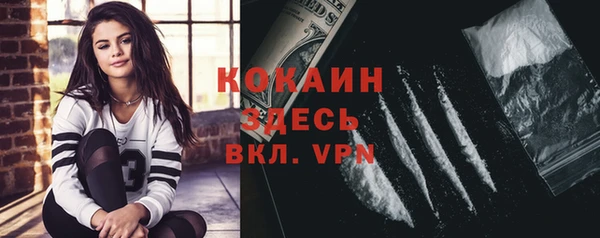 индика Беломорск