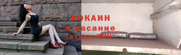 индика Беломорск