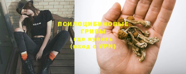дживик Белоозёрский