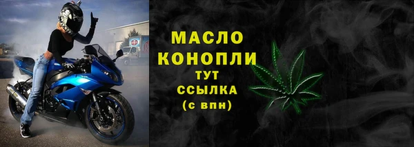 индика Беломорск