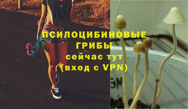 дживик Белоозёрский