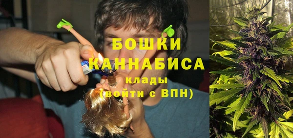 индика Беломорск