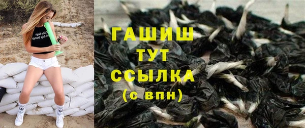 индика Беломорск