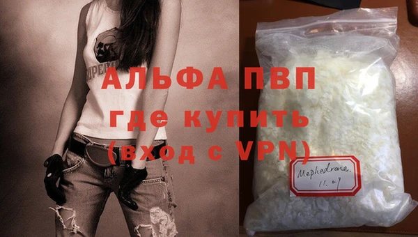 индика Беломорск