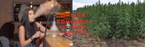 дживик Белоозёрский