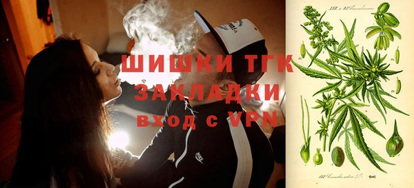 индика Беломорск