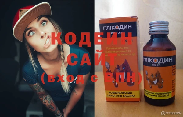 индика Беломорск